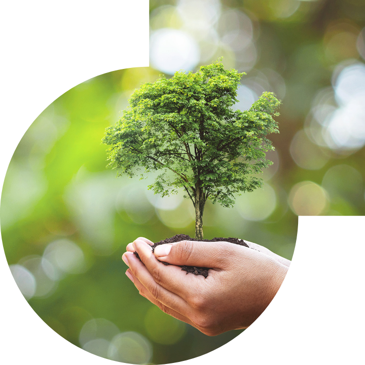 关怀人类、文化、环境与社会